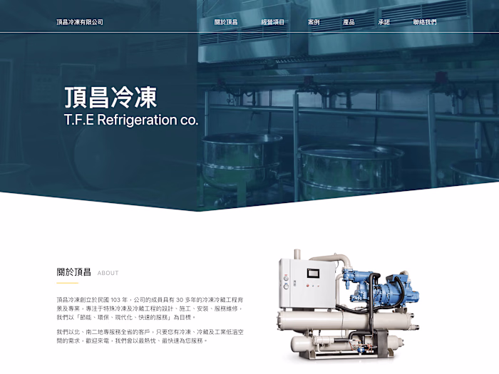 TFE | Branding Website