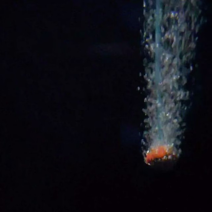 AKSHANSH CHAUHAN🍀 on Instagram: “Beauty is not just humane .
.…