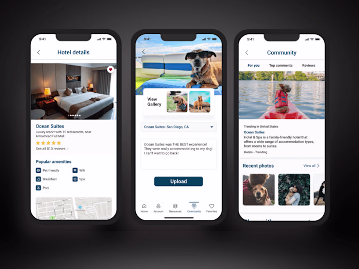 B2C: Mobile Application 