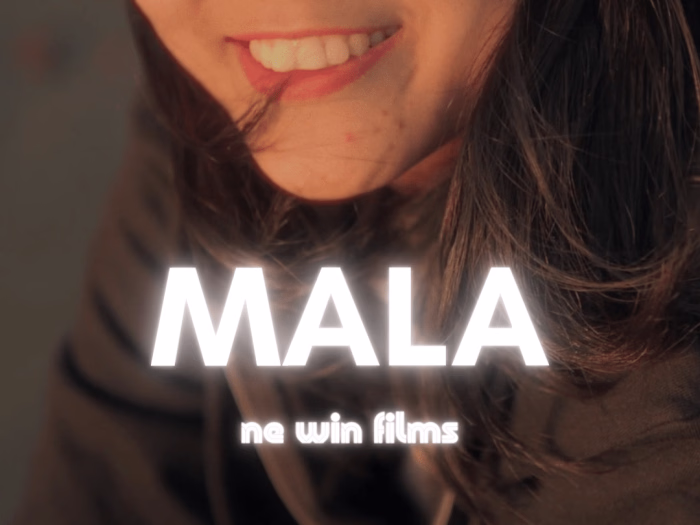 Cinematic Video Portrait