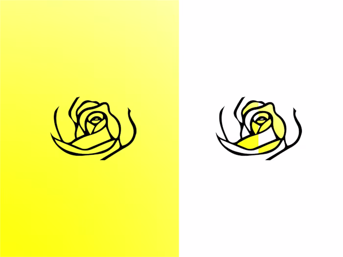 I had a chance to work with a company, Shecielo, a beauty an...