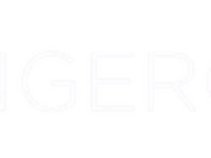 Ecommerce consultant