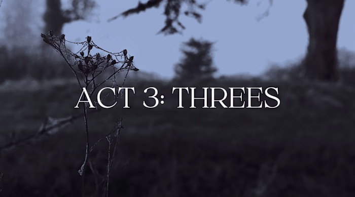 Portrait Project: Death Comes In Threes