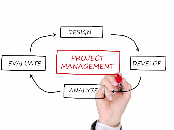 Project management for web development