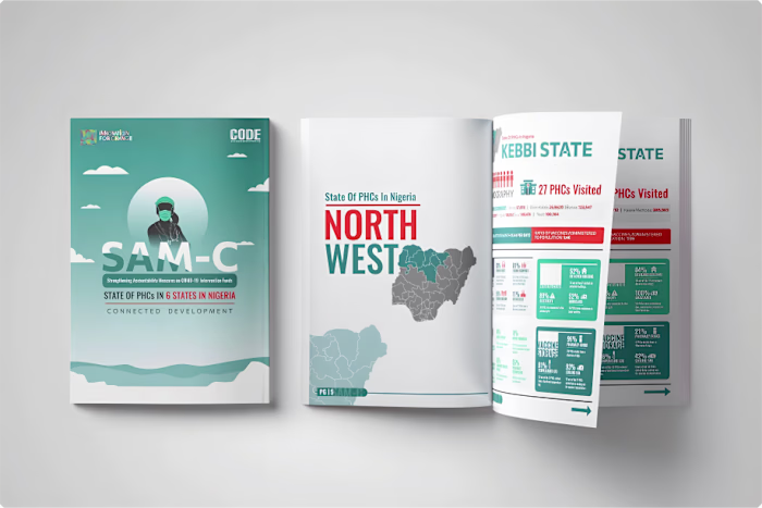 I designed the visual report for the Strengthening Accountab...