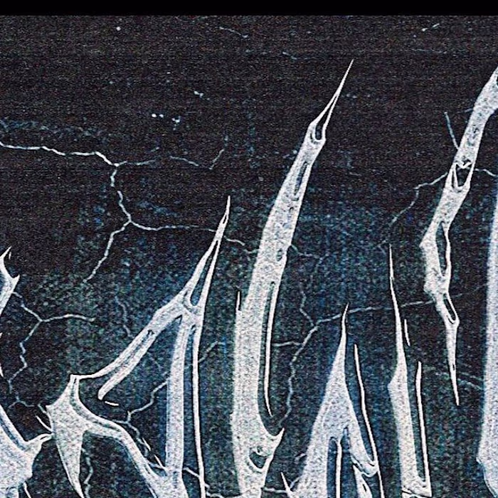 Saint Darko®️ on Instagram