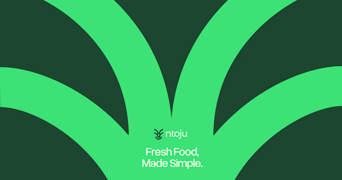 Ntoju Landing Page Design & Development