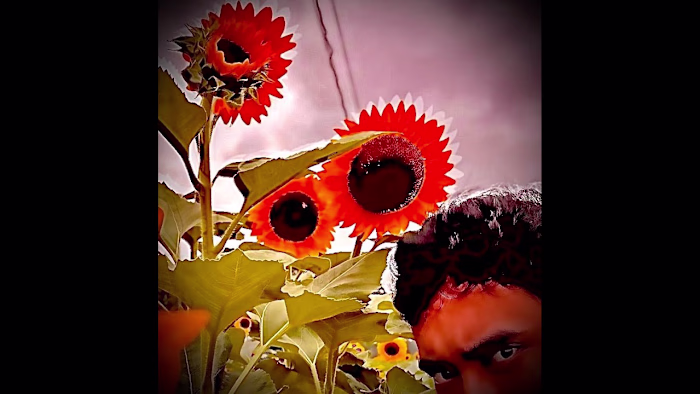 Washed Up Falling Stars ( how pop songs be nowadays ) - YouTube