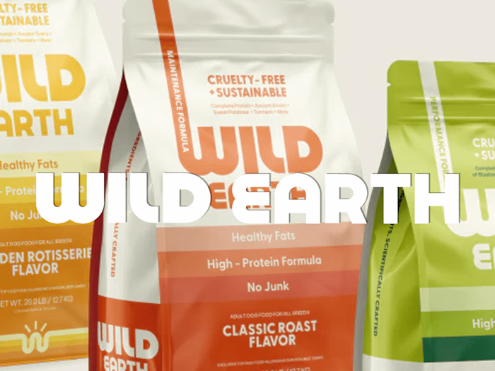 Strategic Copywriting and Email Funnels: Wild Earth