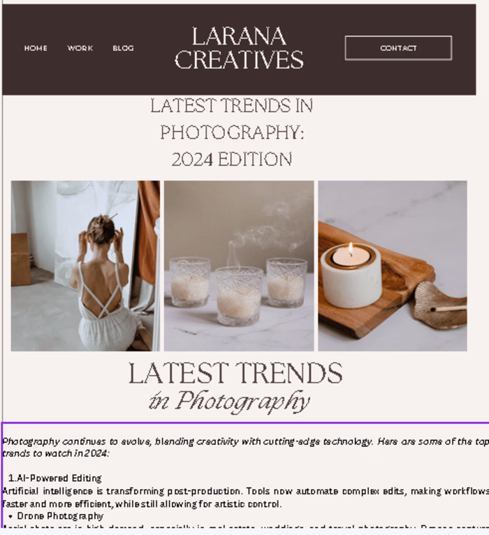 Virtual Assistant Blog Writer for Larana Creatives