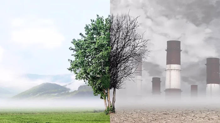 Air Pollution: A Preventable Health Risk