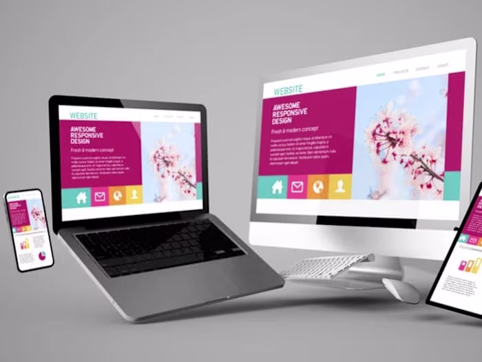 Web development
