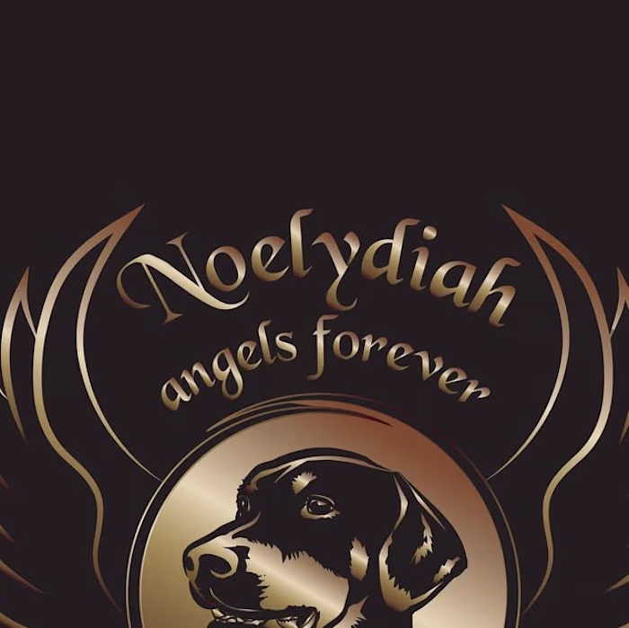 Logo design for a dobermann kennel