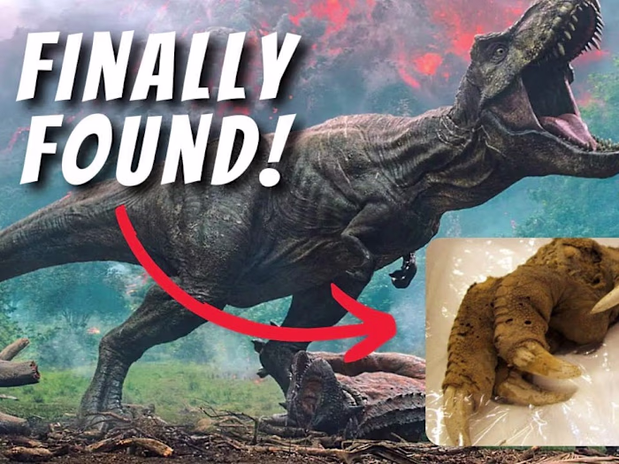 These Finds Change How Scientists View the World!