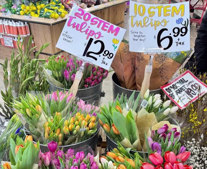 Spring Reflections Newsletter