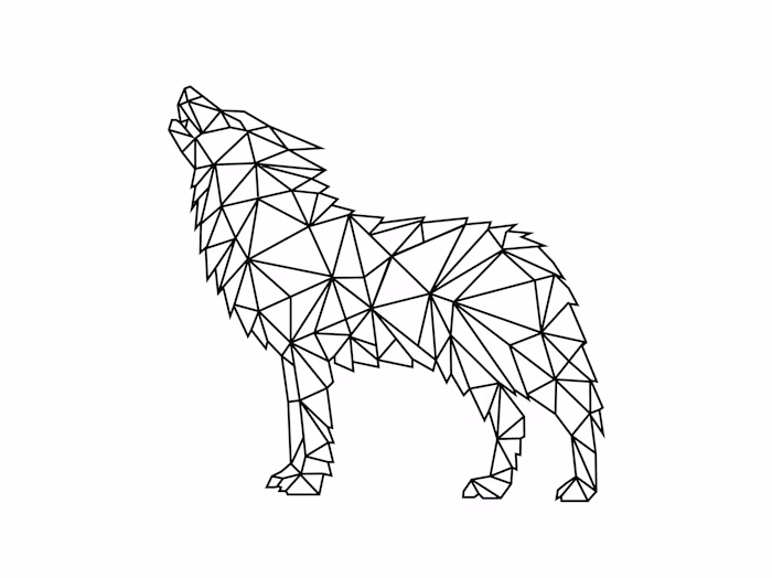 Limited Edition Care Condom Packaging