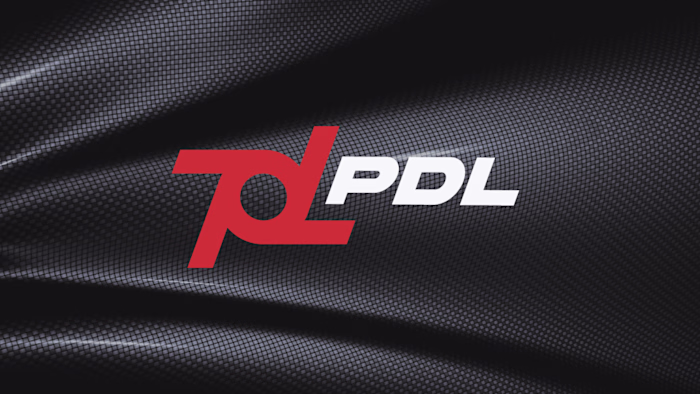 PDL | Logo Design & Brand Identity