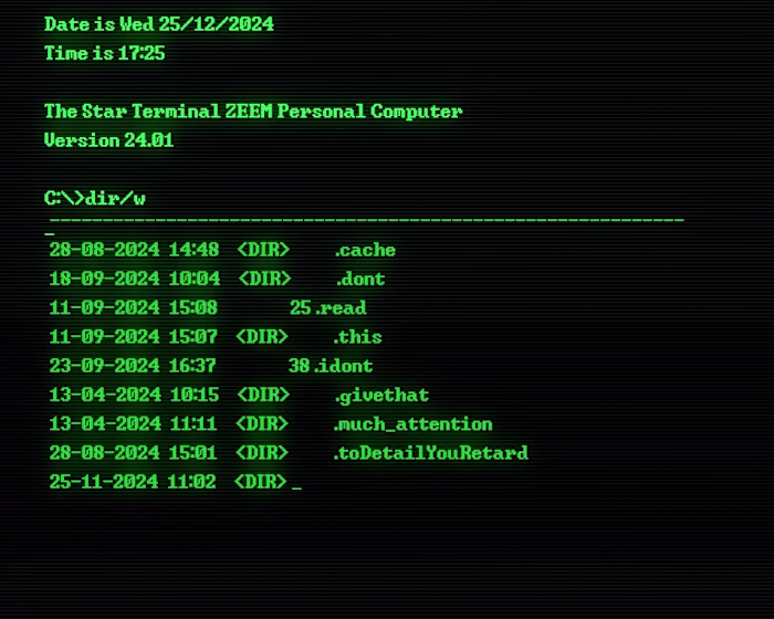 2024 Recap Edit (VHS)