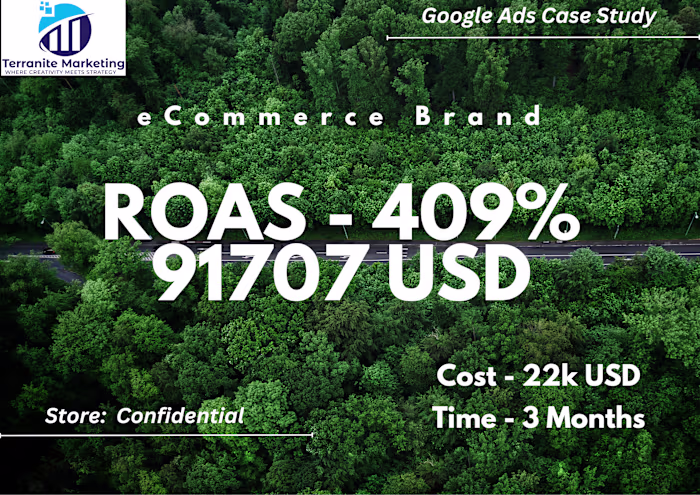 Google eCommerce Strategy (4x ROAS)