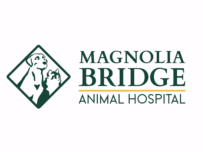 Magnolia Bridge Animal Hospital Rebranding