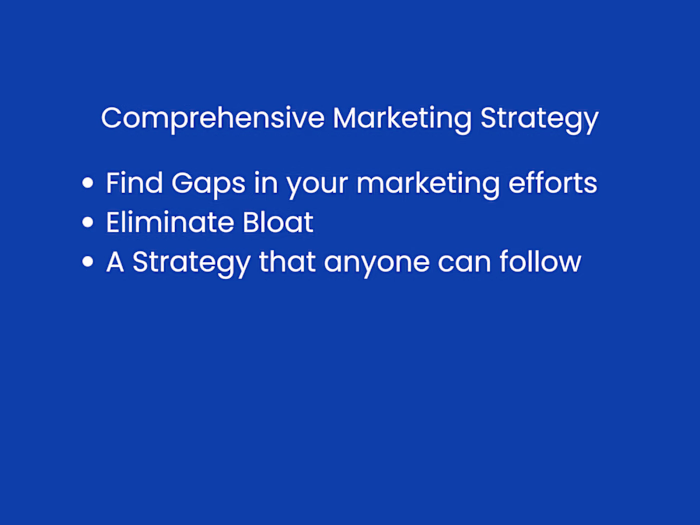 Comprehensive Marketing Strategy