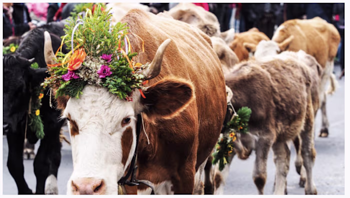 Client / Publication: Spas of Europe (published feature)