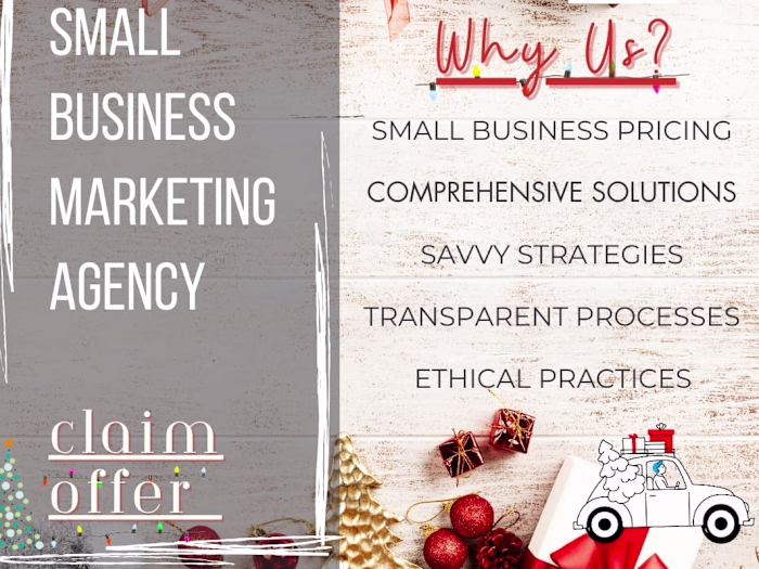 Digital Savvy Strategies 