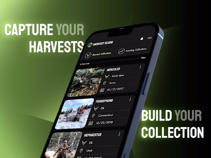 Harvest Score Visual Identity System, Ux/Ui, Art direction