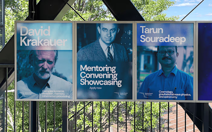 Enrico Fermi Fellowships Brand Identity Project
