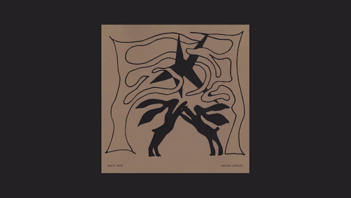 White Hare: A Winter Photobook Design 🐇