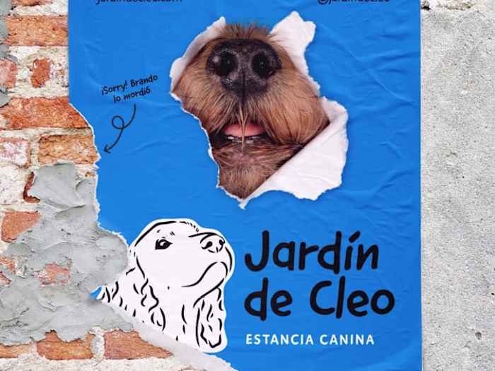 Unveiling a Brand Identity in Two Days!