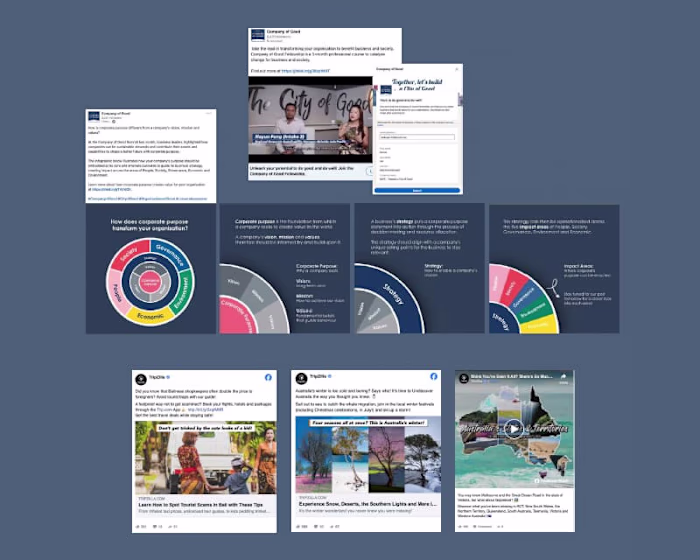 Social Media Management