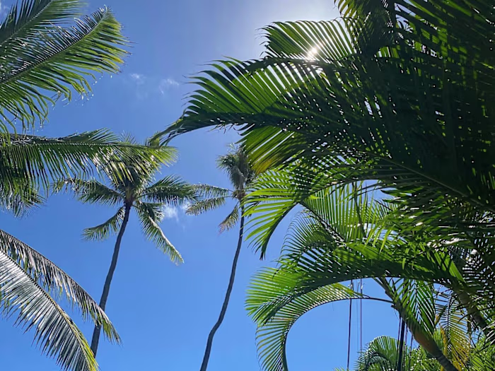 Perfection is overrated