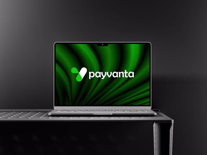 FinTech brand identity design for PAYVANTA