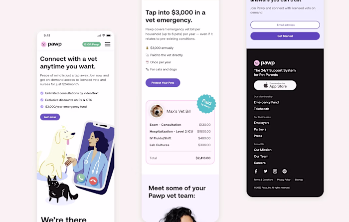 Driving Conversion with an Updated Landing Page