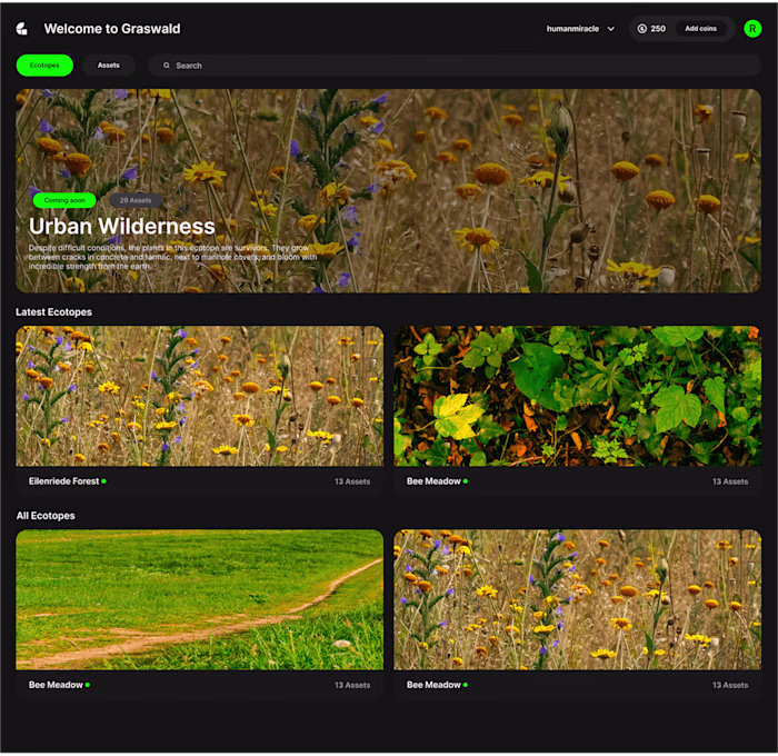 Data-Driven Web App Redesign