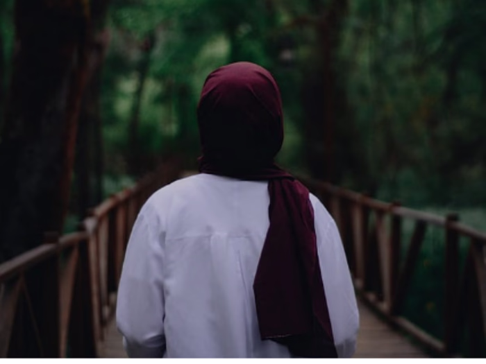 Expert Web Development by Quratulain Qaiser