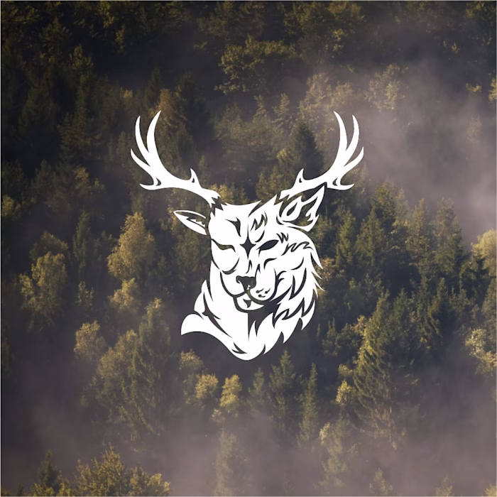 Wild Canning Chronicles Identity