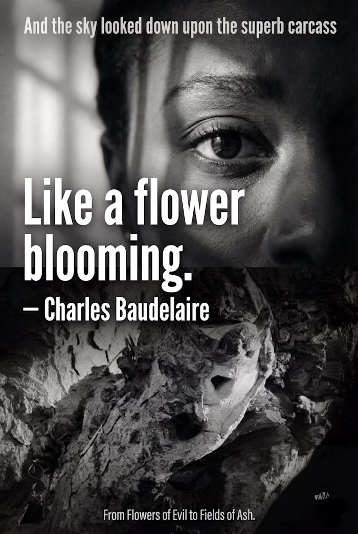 I don't just write literary