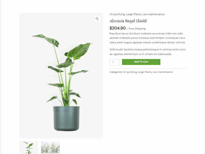 Trivium Solutions - eCommerce Platform