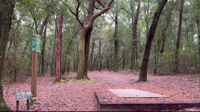 Disc Golf Scoring: The Ultimate Guide For Keeping Score In Disc…