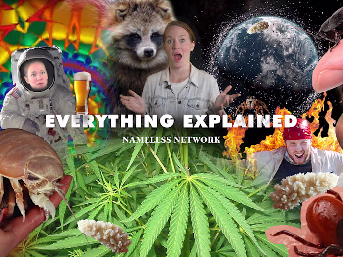 Script Writer for Explainer Series 