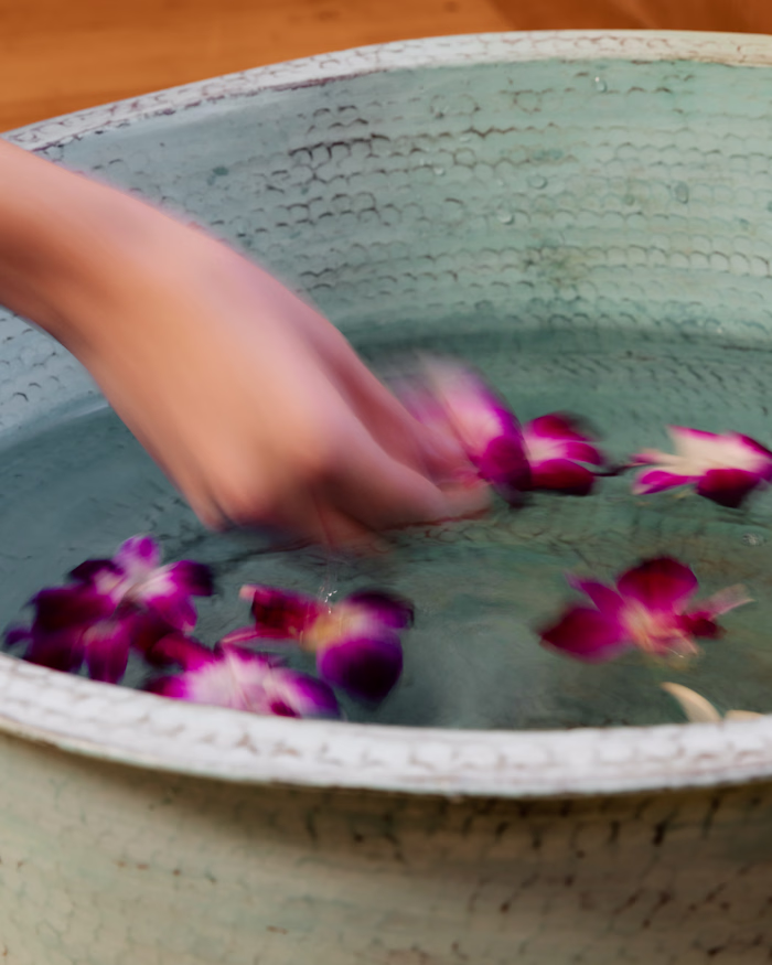 Some work I shot for Mandarin Oriental Boston x Pantone! We ...