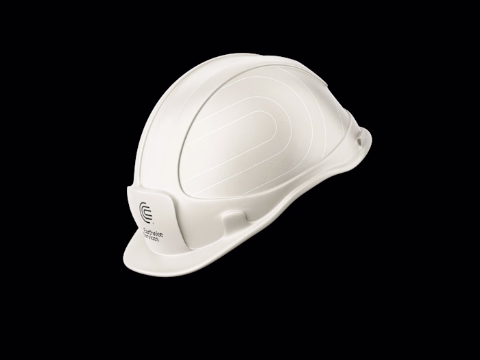 Nature-Inspired Logo Design for Earthwise Services