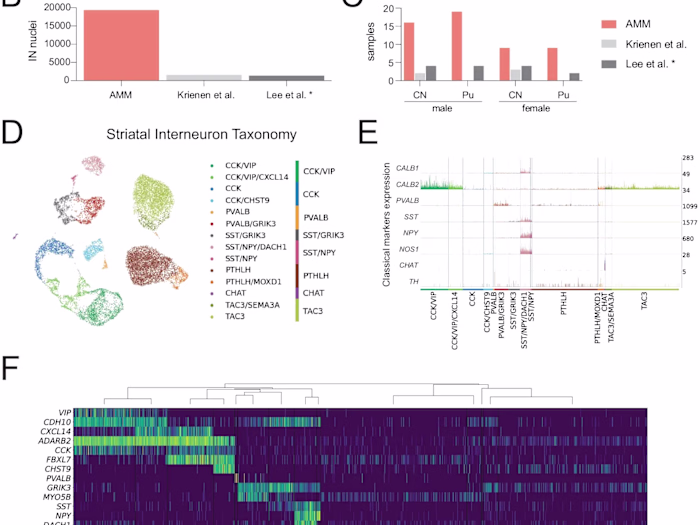 Analysis of single-nuclei RNA sequencing data 