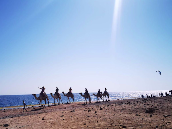 A Week in Dahab