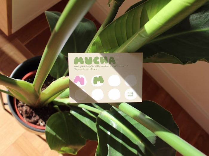 Mucha Matcha | Brand identity