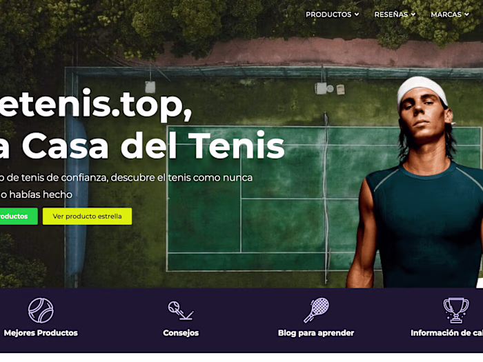 Detenis.top | SEO Strategy + Design | 10k visitors per month