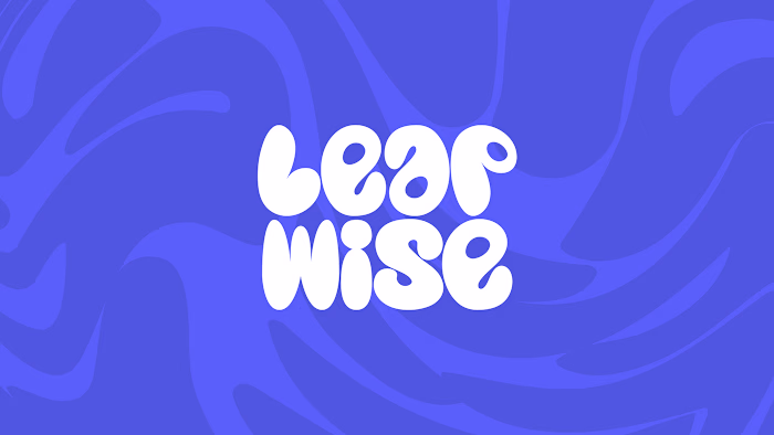 LeapWise brand identity