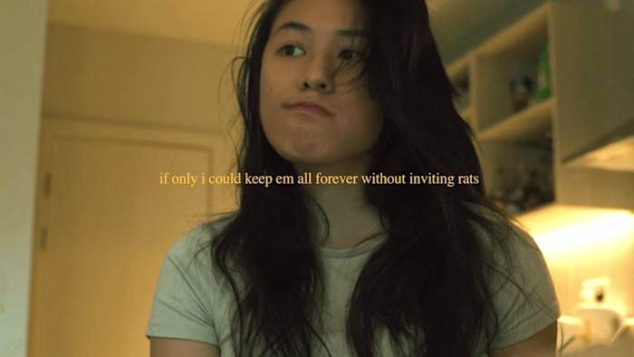 Youtube, Cinematic Film, Travel Vlogs | Videography & Editing